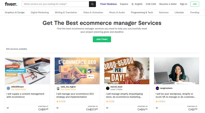 Fiverr ecommerce store operator