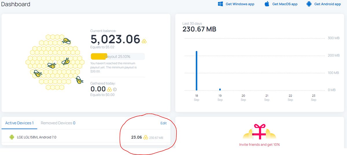 My-Honeygain-Earnings