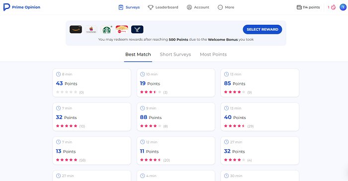 Prime Opinion surveys